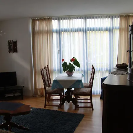 公寓 Ferienwohnung-an-der-elbe 德累斯顿